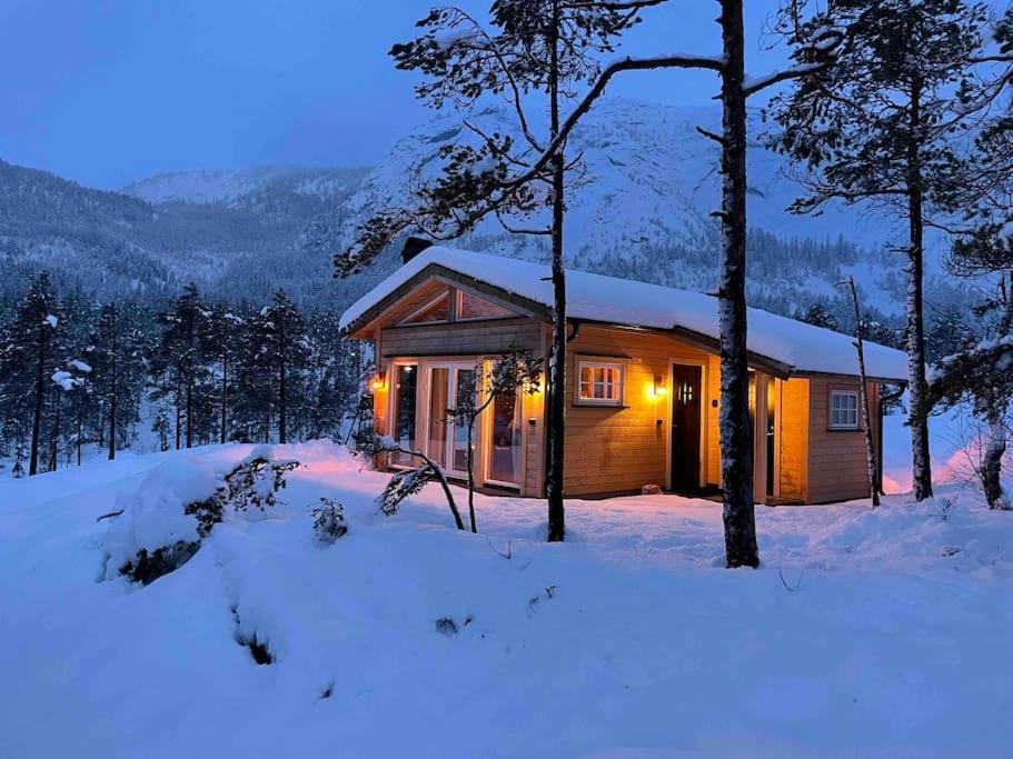 Cosy Cabin Between Lake And Mountain Treungen Zewnętrze zdjęcie